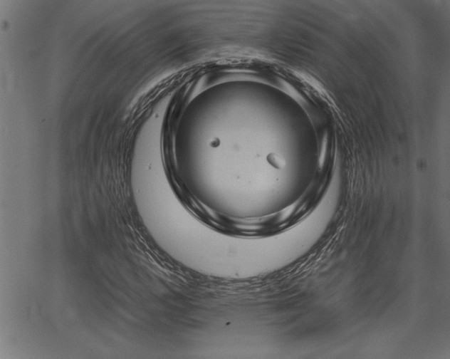 X0000067911112200604131336