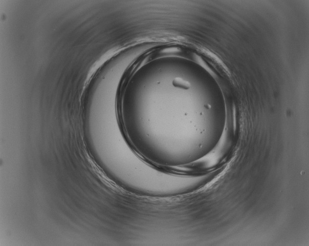 X0000067911114200604131336