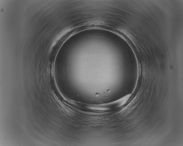 X0000067911115200604131336