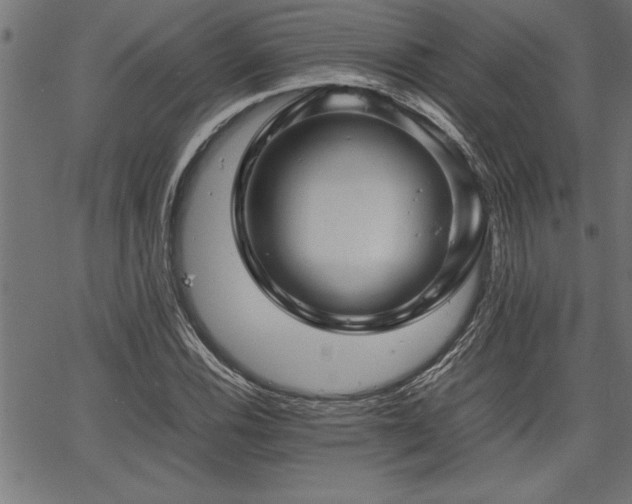 X0000067911116200604131336