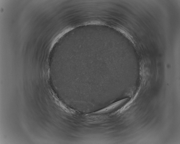 X0000067911117200604131336