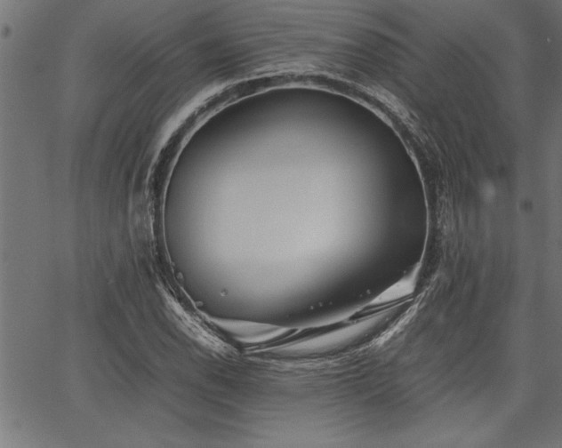 X0000067911118200604131336