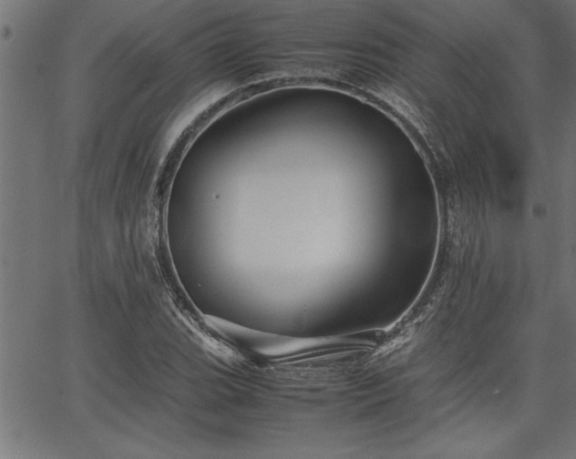 X0000067911119200604131336