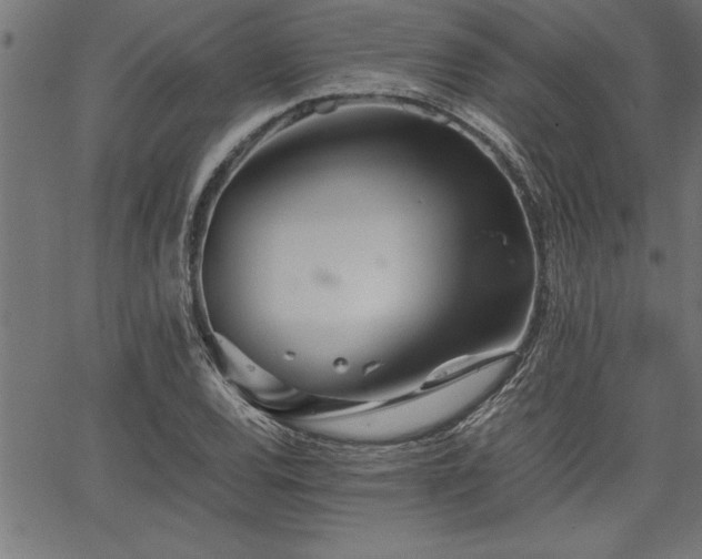 X0000067911120200604131336