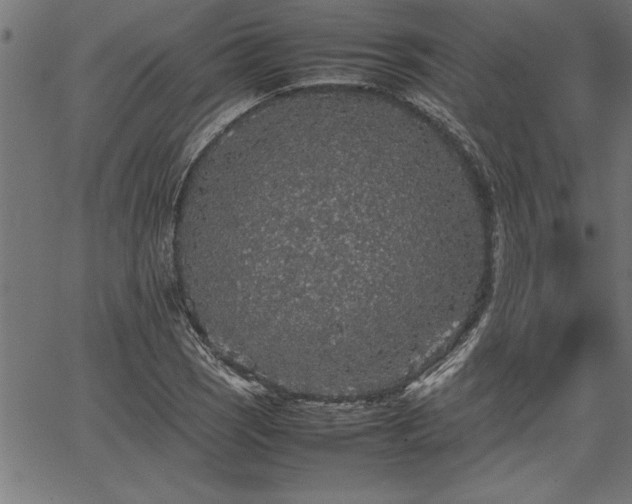 X0000067911121200604131336