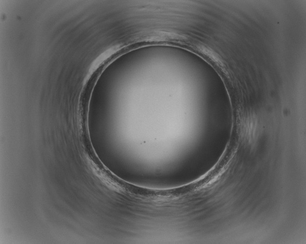 X0000067911122200604131336