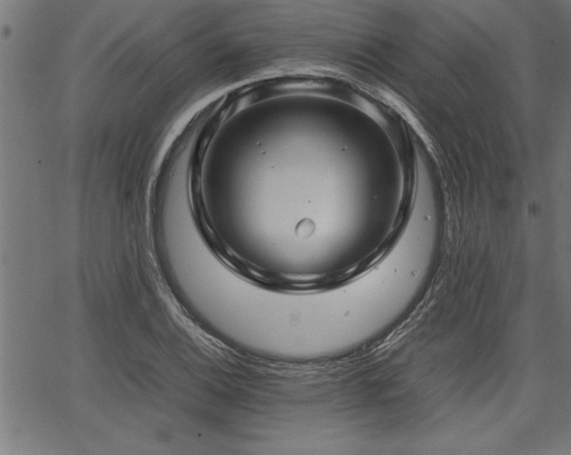 X0000067911124200604131336