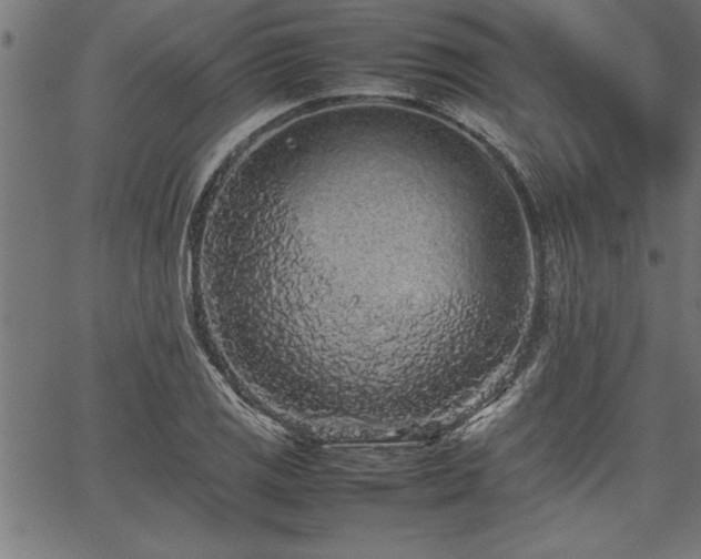 X0000067911125200604131336