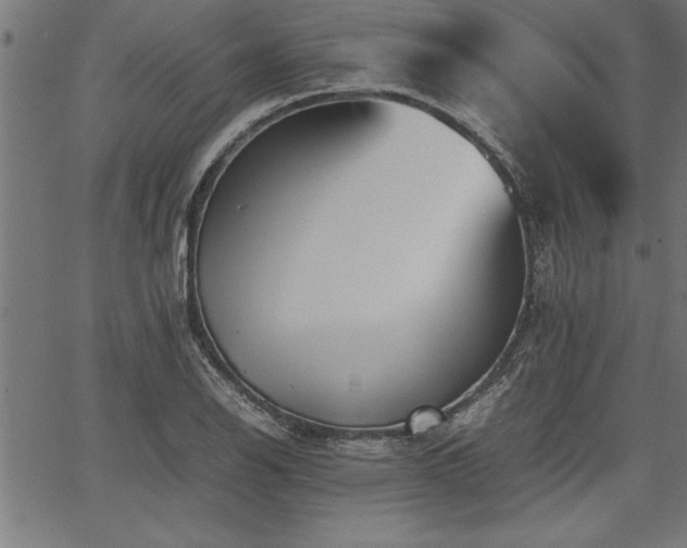 X0000067911126200604131337