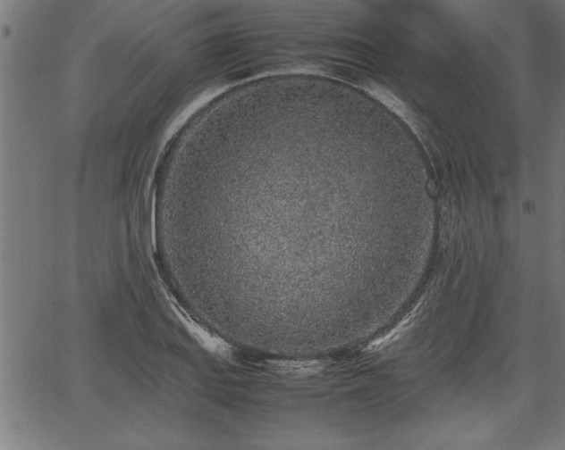 X0000067911127200604131337