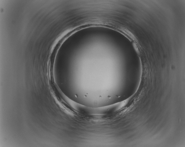 X0000067911128200604131337