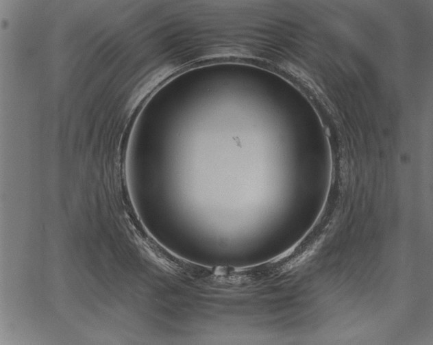 X0000067911129200604131337