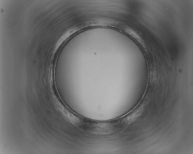 X0000067911130200604131337