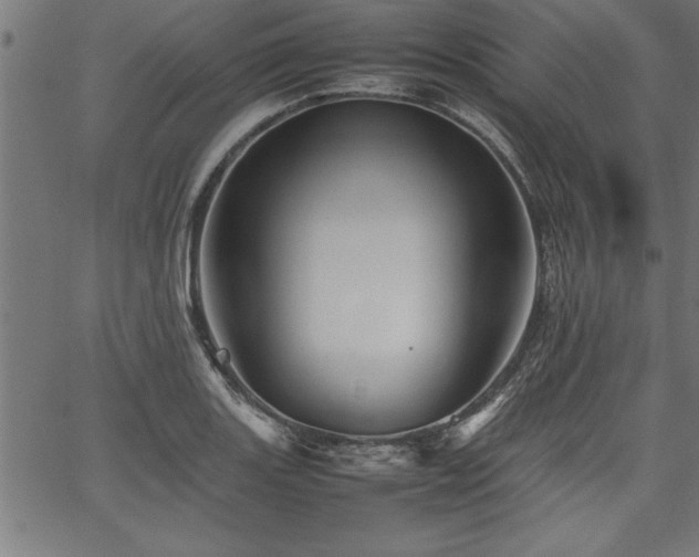 X0000067911131200604131337