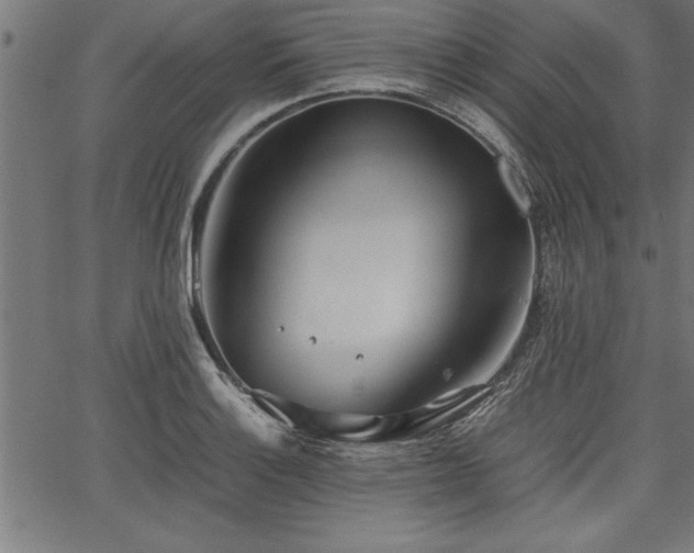 X0000067911132200604131337