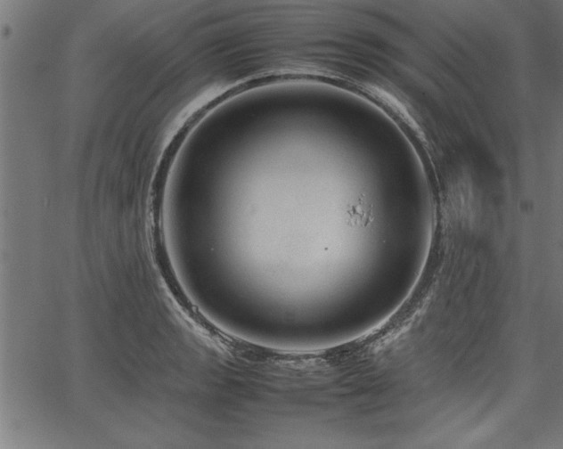 X0000067911133200604131337