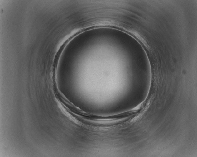 X0000067911134200604131337