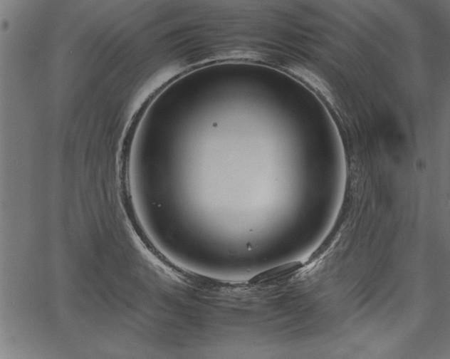 X0000067911135200604131337