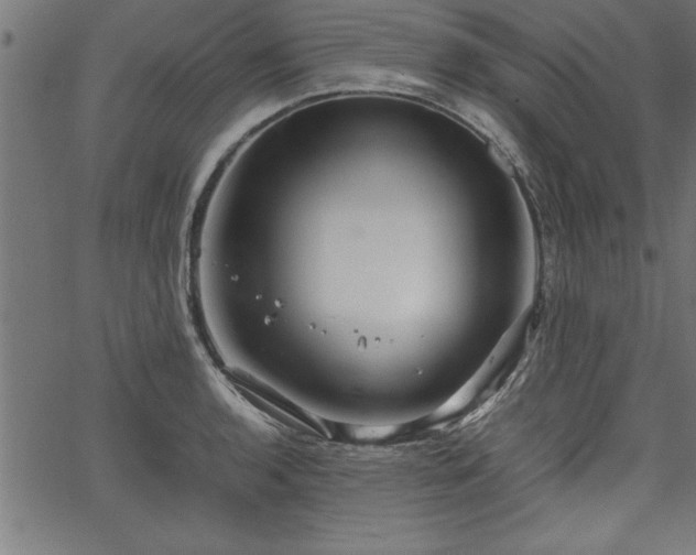 X0000067911136200604131337