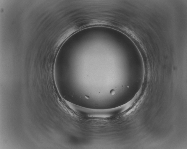 X0000067911137200604131337