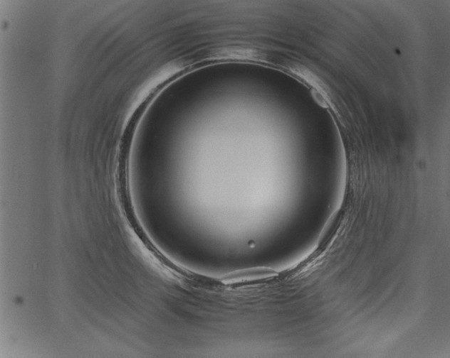 X0000067911139200604131337