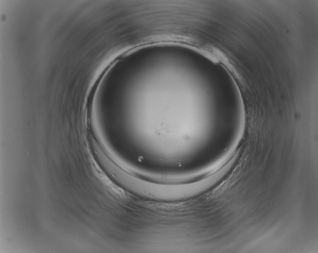 X0000067911140200604131337