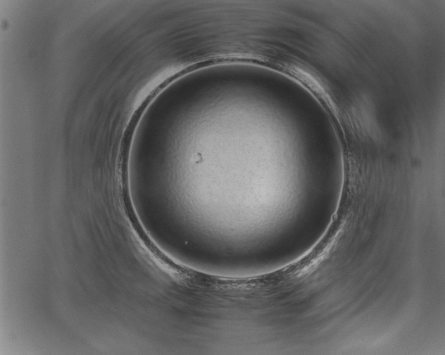 X0000067911141200604131337