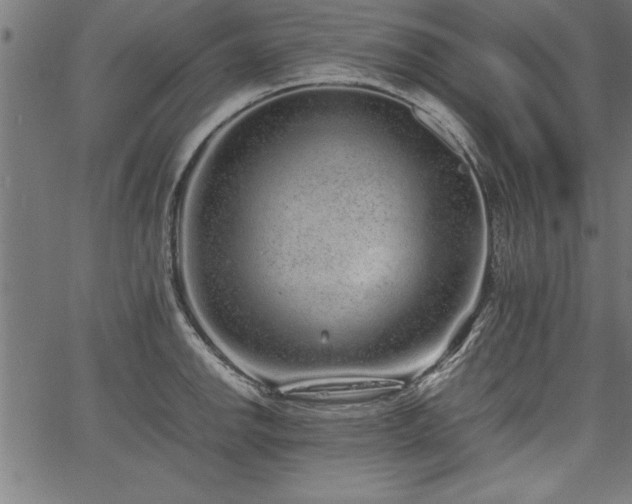 X0000067911142200604131337