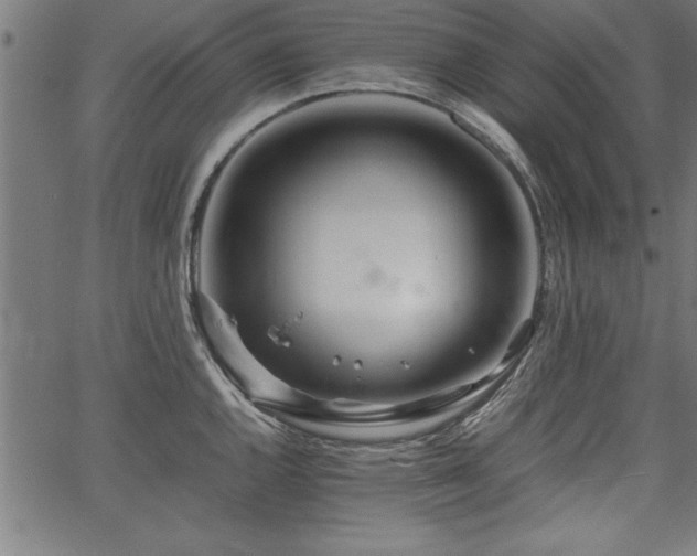 X0000067911144200604131337