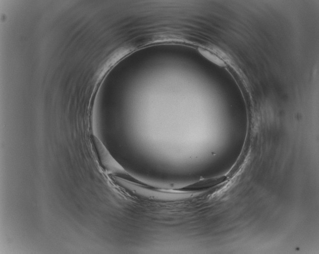 X0000067911145200604131337