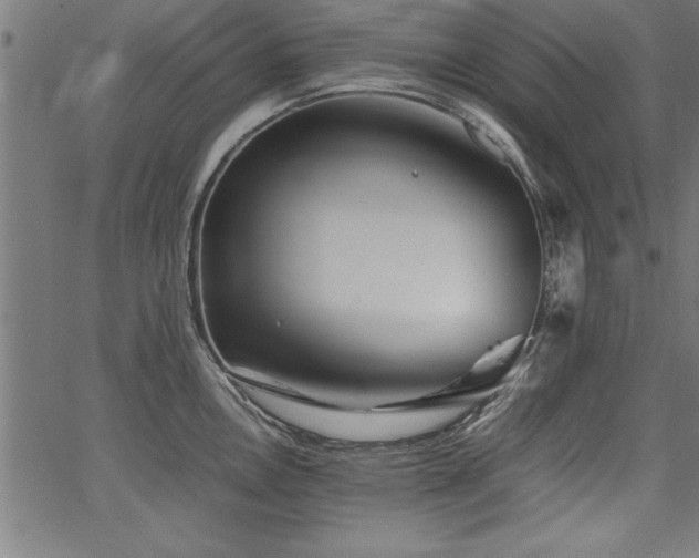 X0000067911146200604131337