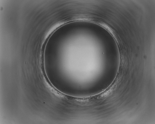 X0000067911147200604131337