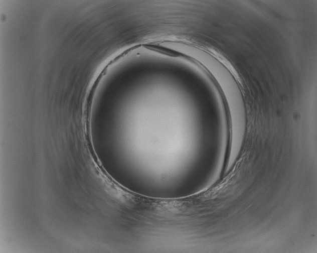 X0000067911148200604131337