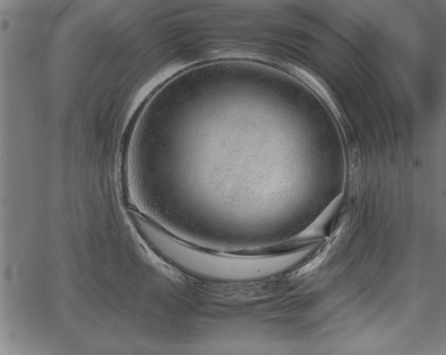 X0000067911149200604131337