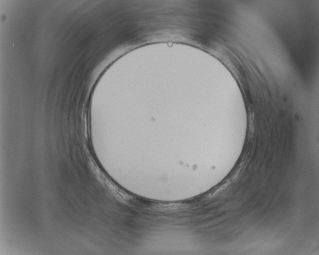 X0000067911150200604131337