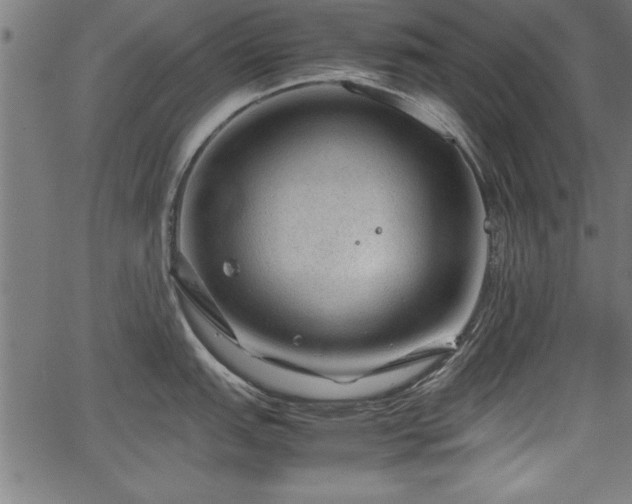 X0000067911151200604131337