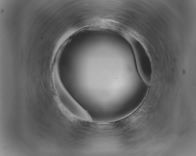 X0000067911152200604131337