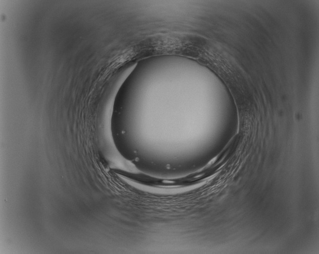 X0000067911153200604131336