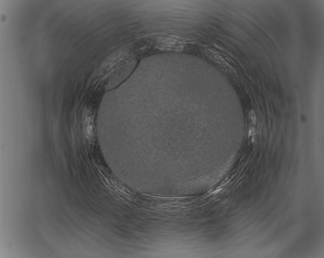 X0000067911154200604131336