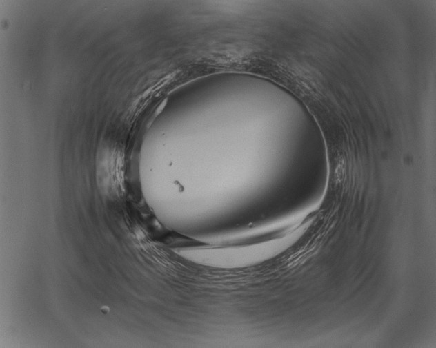 X0000067911156200604131336