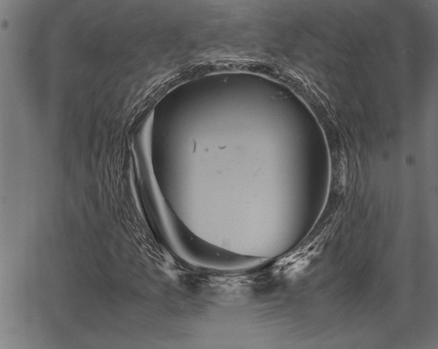 X0000067911157200604131336