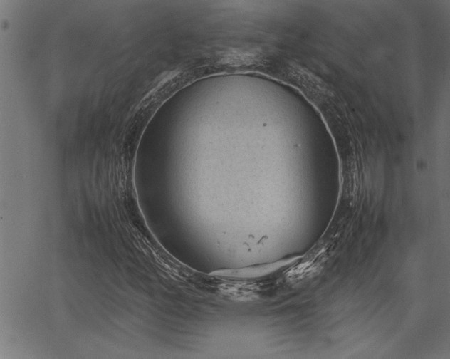 X0000067911158200604131336