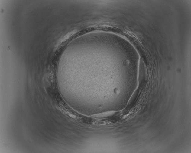 X0000067911159200604131336