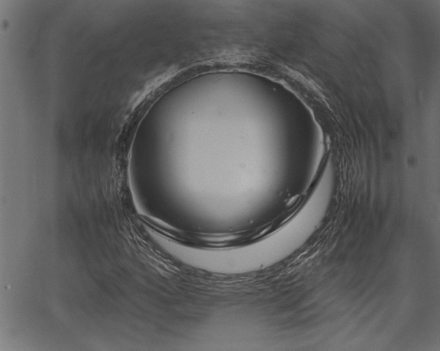 X0000067911160200604131336