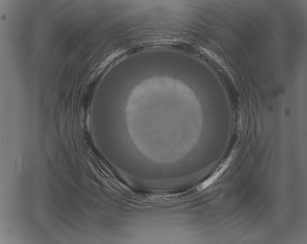 X0000067911161200604131336