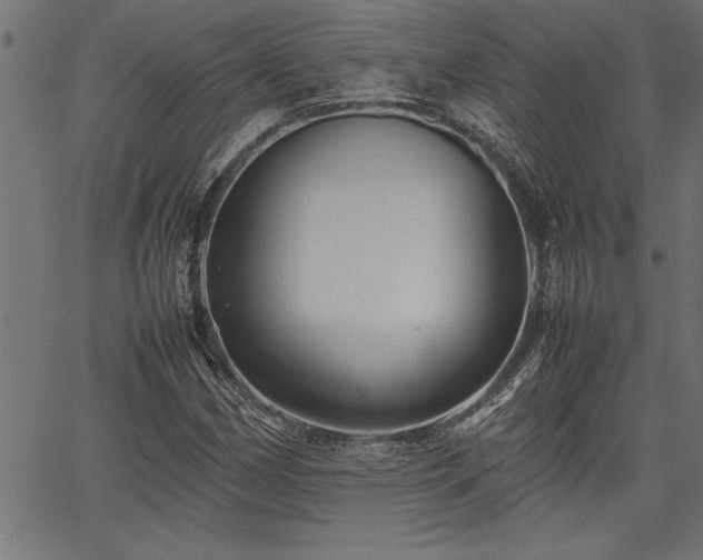 X0000067911162200604131336