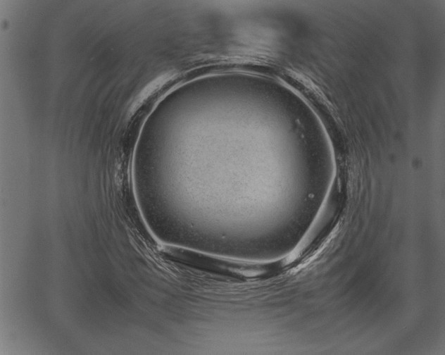 X0000067911163200604131336