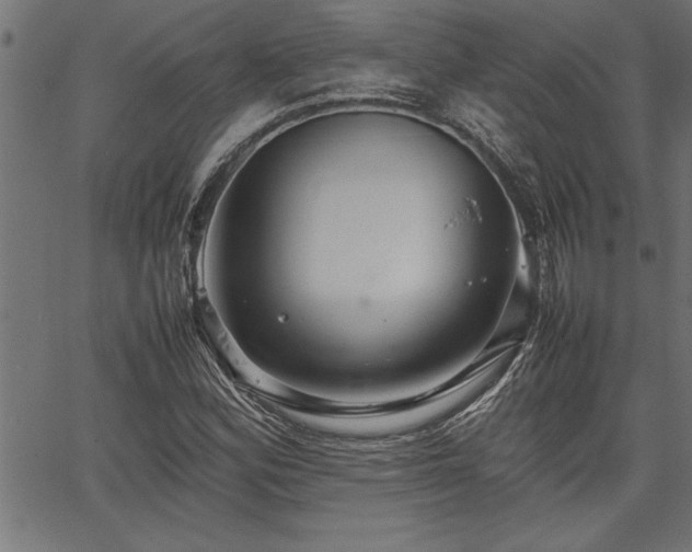 X0000067911164200604131336