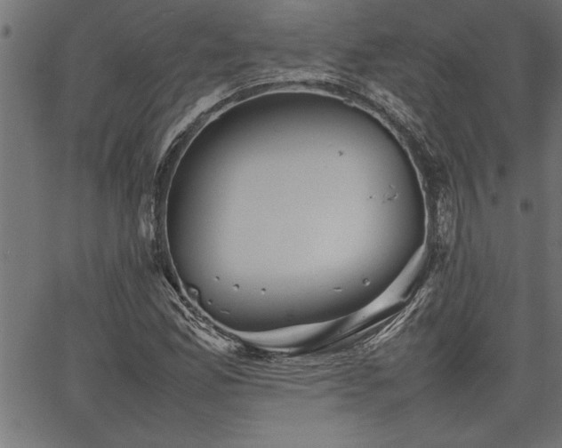 X0000067911165200604131336