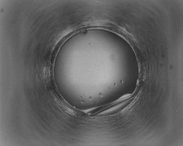 X0000067911166200604131336